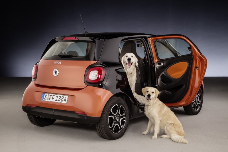 smart forfour mit readyspace Sitzen